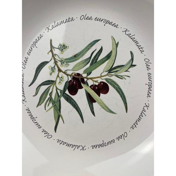 Williams Sonoma Pasta Bowl Olive Kalamata Olea Europaea 9.5 Inch Portugal - Picture 2 of 6